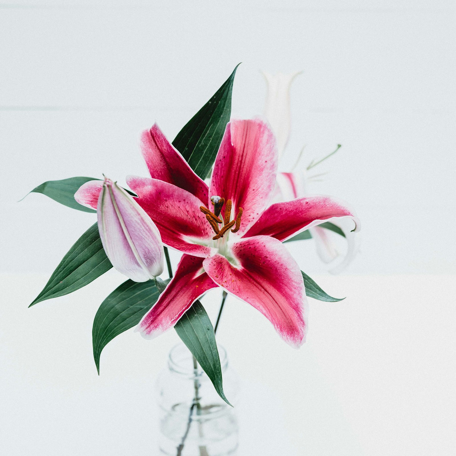 Equilíbrio emocional — Floral de Bach, Floral de Minas, Aromaterapia